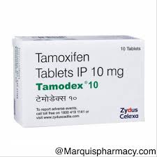 TAMODEX 10 TAB(10 PCS)(1243)