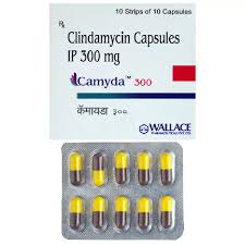 CAMYDA 300 CAP (10 PCS)