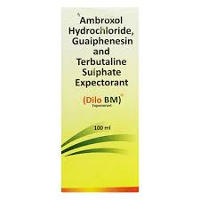 DILO-BM SYP 100ML