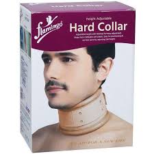HARD COLLAR FLAMINGO(L)