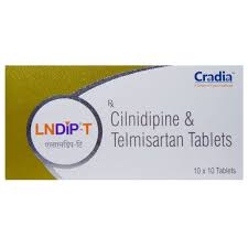 LNDIP T TAB (10 PCS)