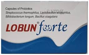 LOBUN FORTE (1)