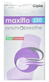 MAXIFLO 250 SYNCHROBREATH