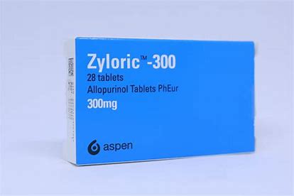 ZYLORIC 300 MG TAB(10 TAB)