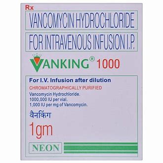 VANKING 1GM ING(1883)