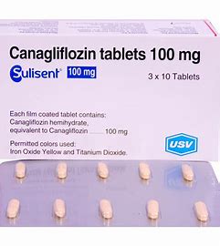 SULISENT 100MG TAB(10 PCS)(948)