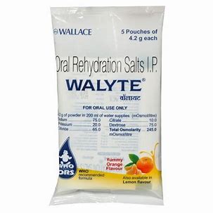 WALYTE CITRO SACH. 4.2G(5 PCS)