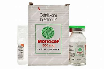 MONOCEF 500 MG INJ