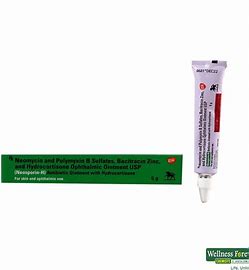 NEOSPORIN-H OINT. 5G