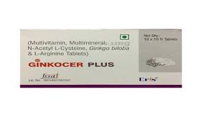 GINKOCER  PLUS CAP (10 PCS)
