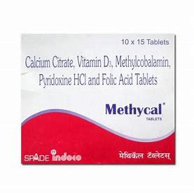 METHYCAL TAB(10 TAB)