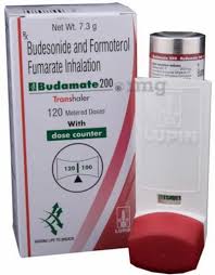 BUDAMATE 200 TRANSHALER