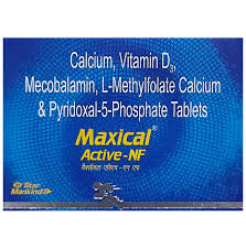 MAXICAL ACTIVE (1)