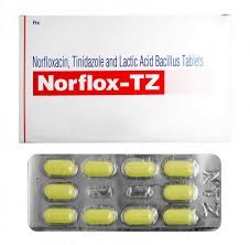 NORFLOX-TZ TAB(10 TAB)