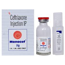 MONOCEF 2 G INJ