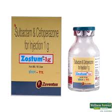 ZOSTUM 1GM INJ