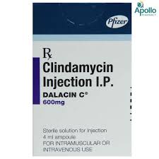 DALACIN C 600 INJ