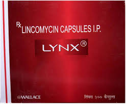 LYNX 500 MG CAP(15 CAP)
