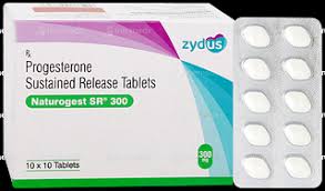 NATUROGEST SR 300 TAB (10 TAB)