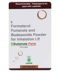 BUDAMATE FORTE TRANSCAP (516)