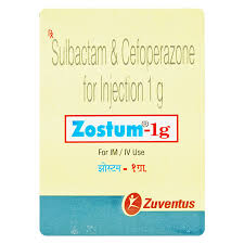 ZOSTUM 1GM INJ