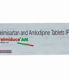 TELMIDUCE-AM TAB (10 PCS)