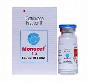 MONOCEF 1G INJ