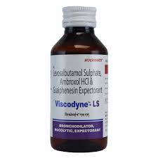VISCODYNE- LS SYR 100ML