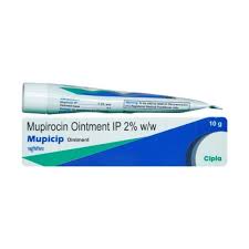 MUPICIP OINT 10G