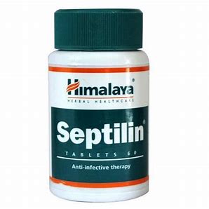 SEPTILIN TAB(60 TAB)