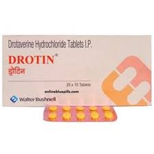 DROTIN 40MG TAB (15 PCS)(2612)